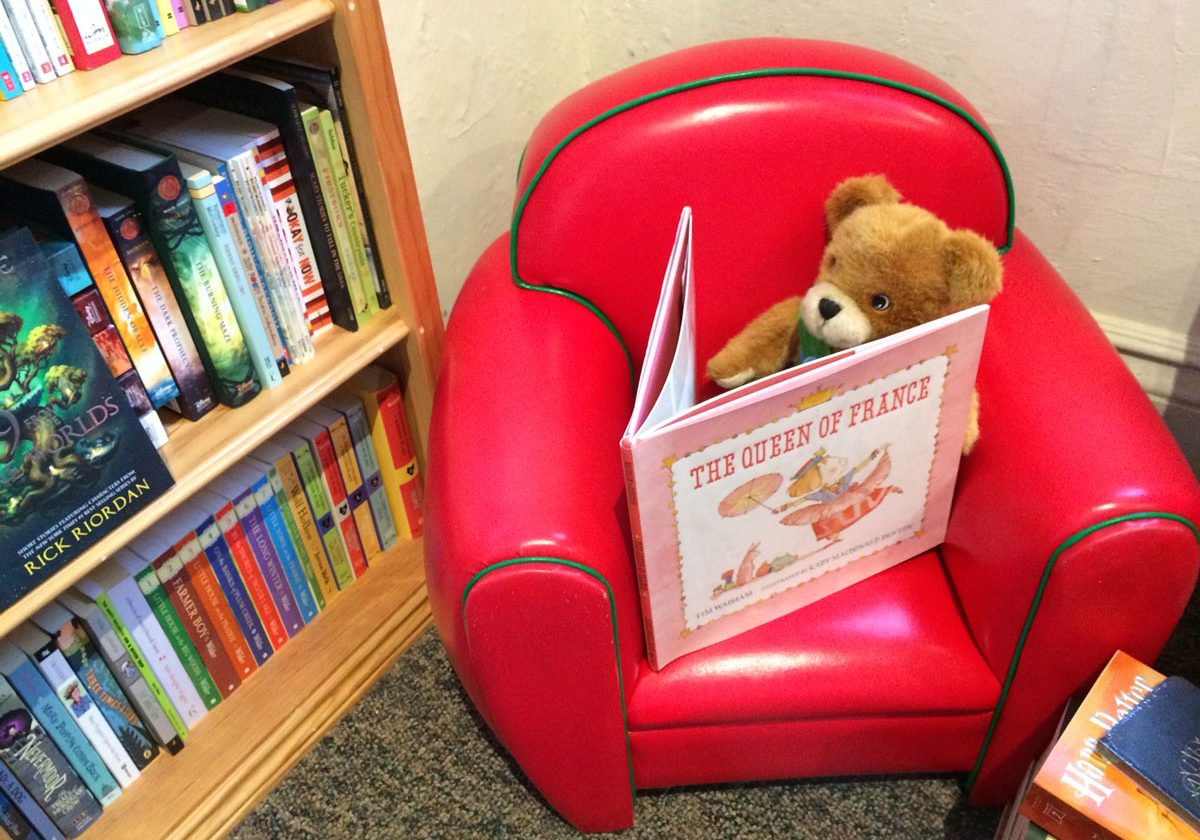 Bear reading in children's section at left bank books